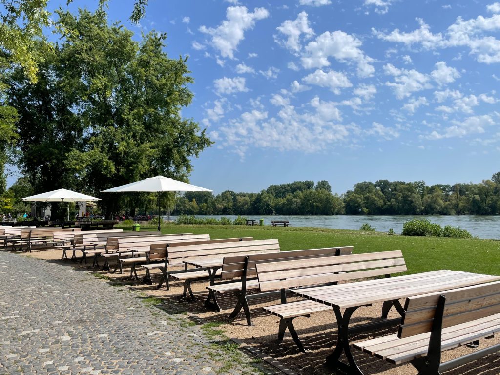 Rheinsicht in Östrich Winkel