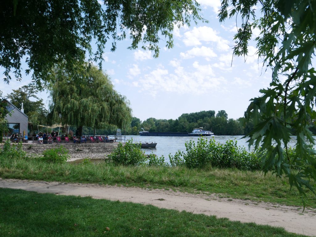 Rheinsicht in Östrich Winkel