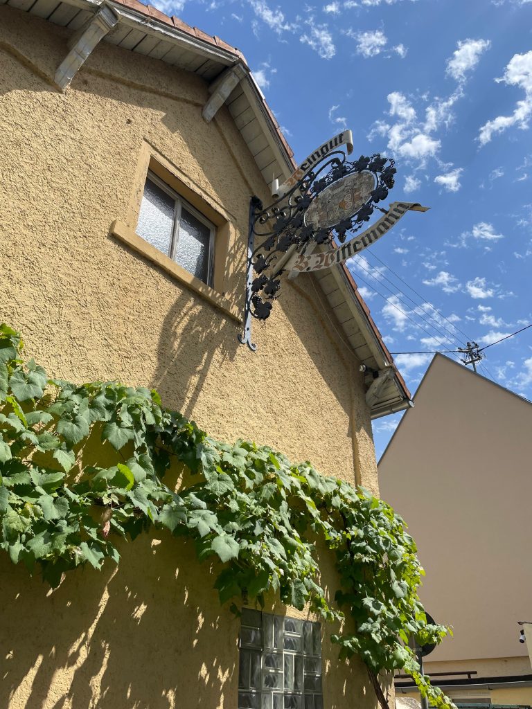 Umgebung vom Alten Weingut in Östrich Winkel