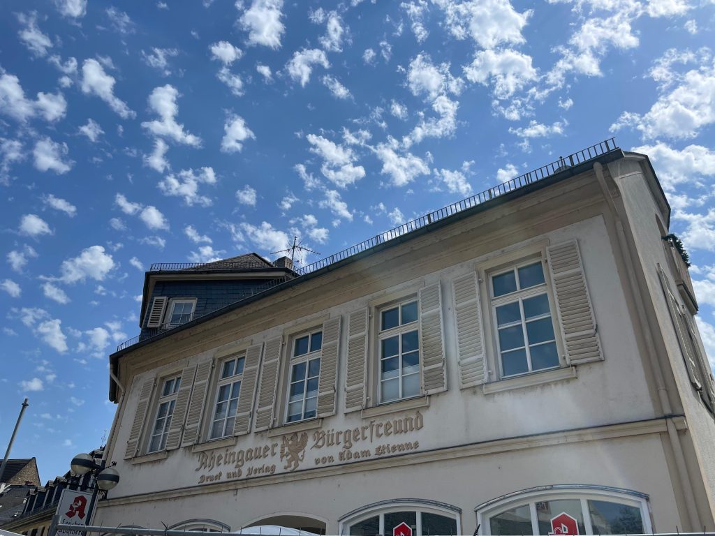 Umgebung vom Alten Weingut in Östrich Winkel