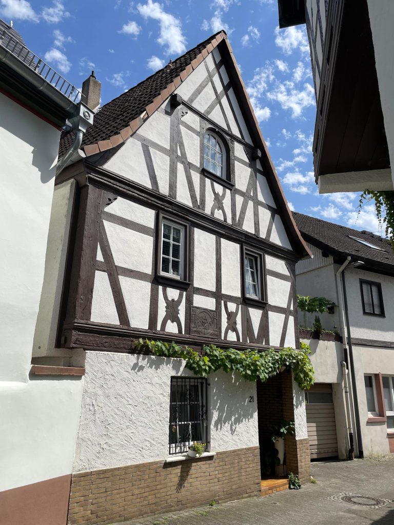 Umgebung vom Alten Weingut in Östrich Winkel