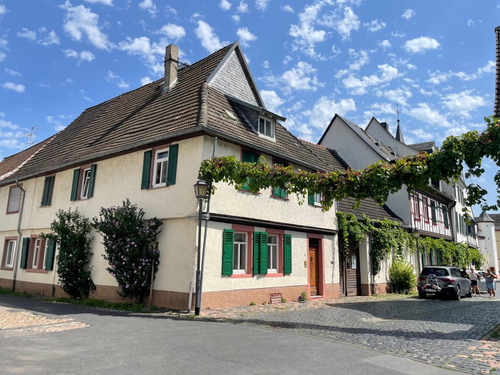 Umgebung vom Alten Weingut in Östrich Winkel