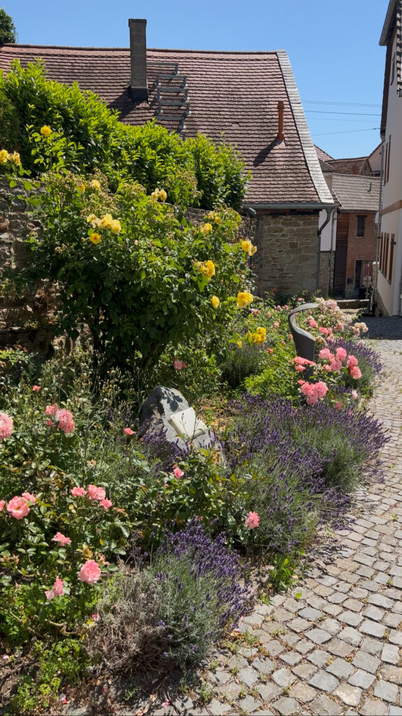 Die Umgebung in Wiesbaden-Kloppenheim