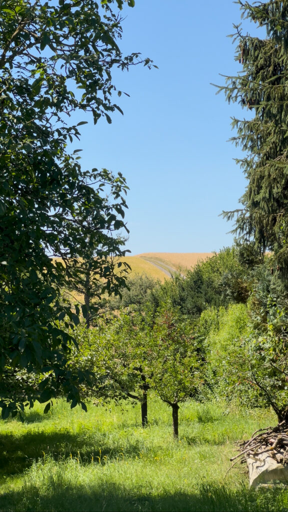 Die Umgebung in Wiesbaden-Kloppenheim