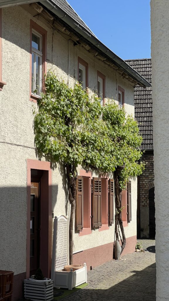 In unmittelbarer Nachbarschaft