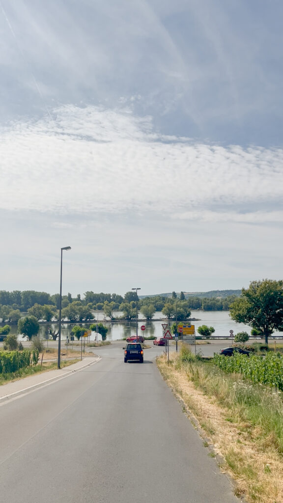Rheinblick