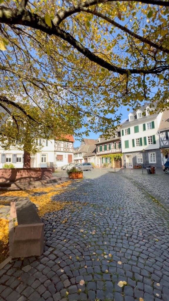 Umgebung in Oestrich-Winkel