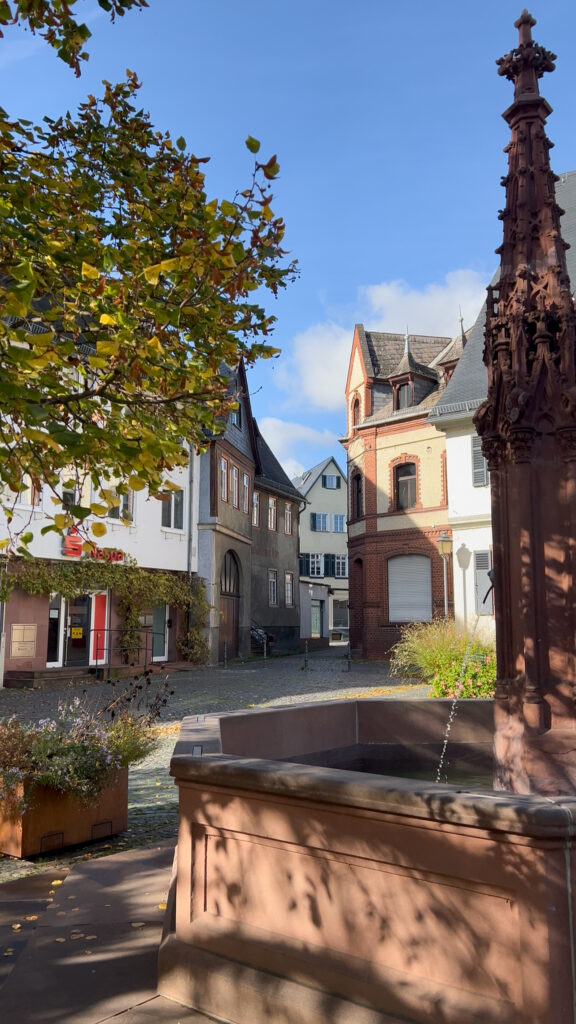 Umgebung in Oestrich-Winkel