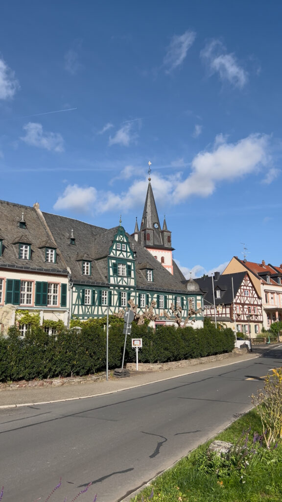 Umgebung in Oestrich-Winkel