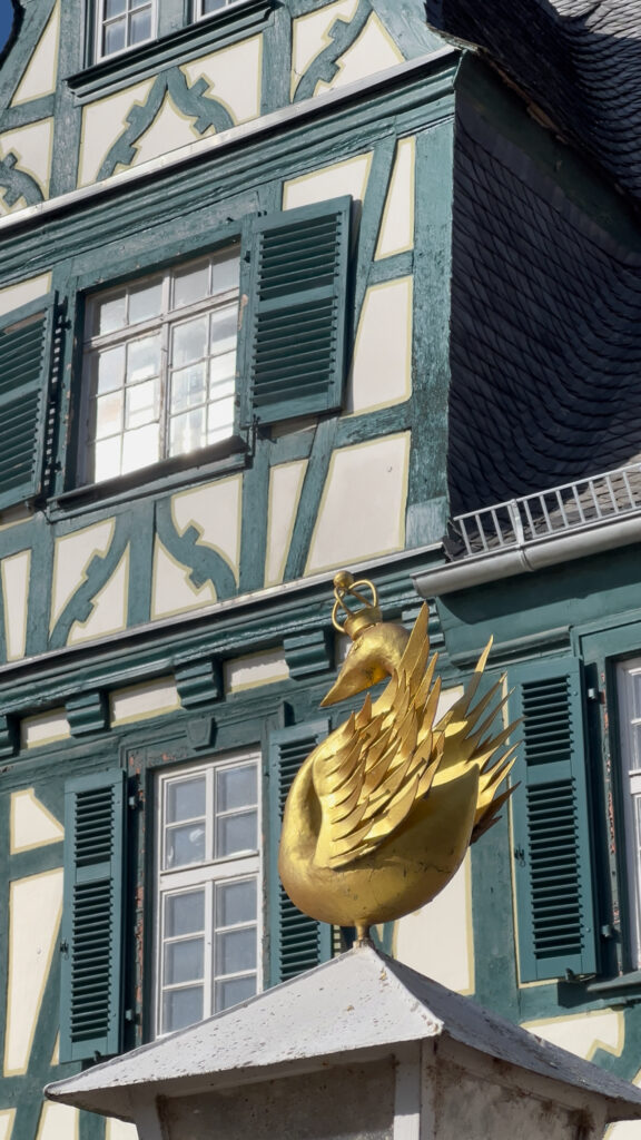 Umgebung in Oestrich-Winkel