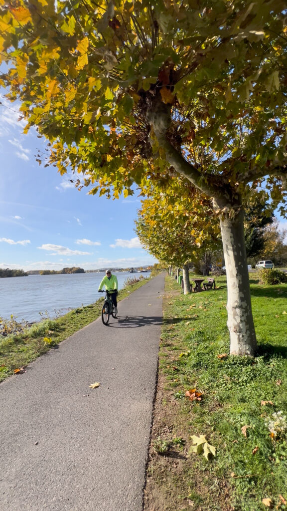 Umgebung in Oestrich-Winkel