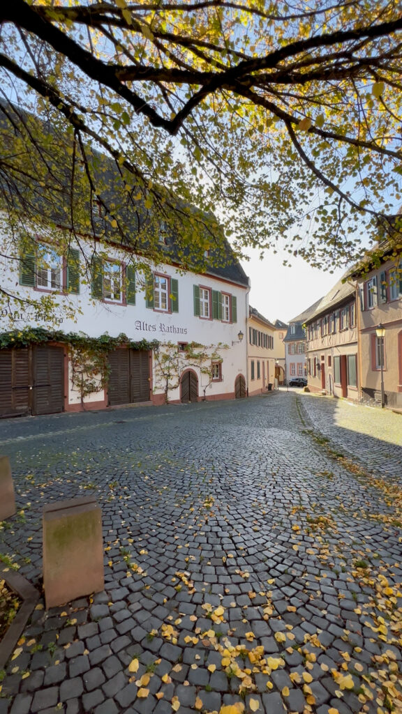 Umgebung in Oestrich-Winkel