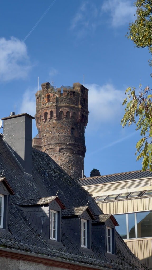Umgebung in Oestrich-Winkel