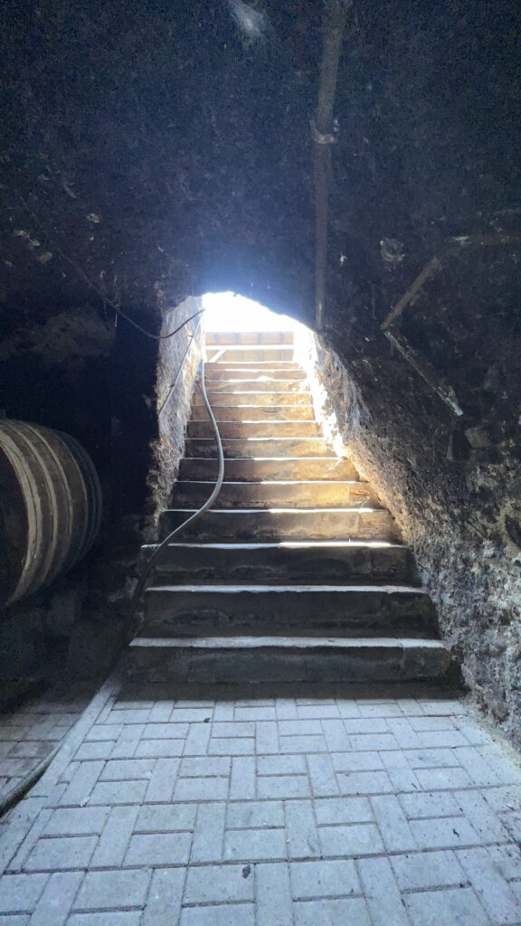 Historischer Weinkeller - Grundmauern aus dem Jahr 1100