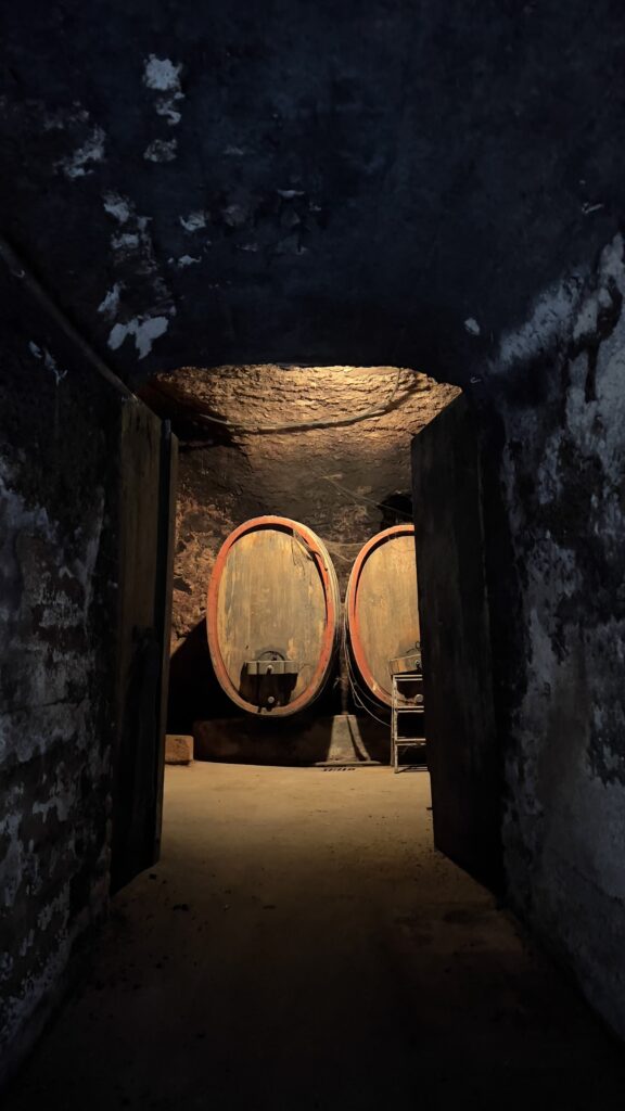 Historischer Weinkeller des Eberbacher Hofs in Hallgarten