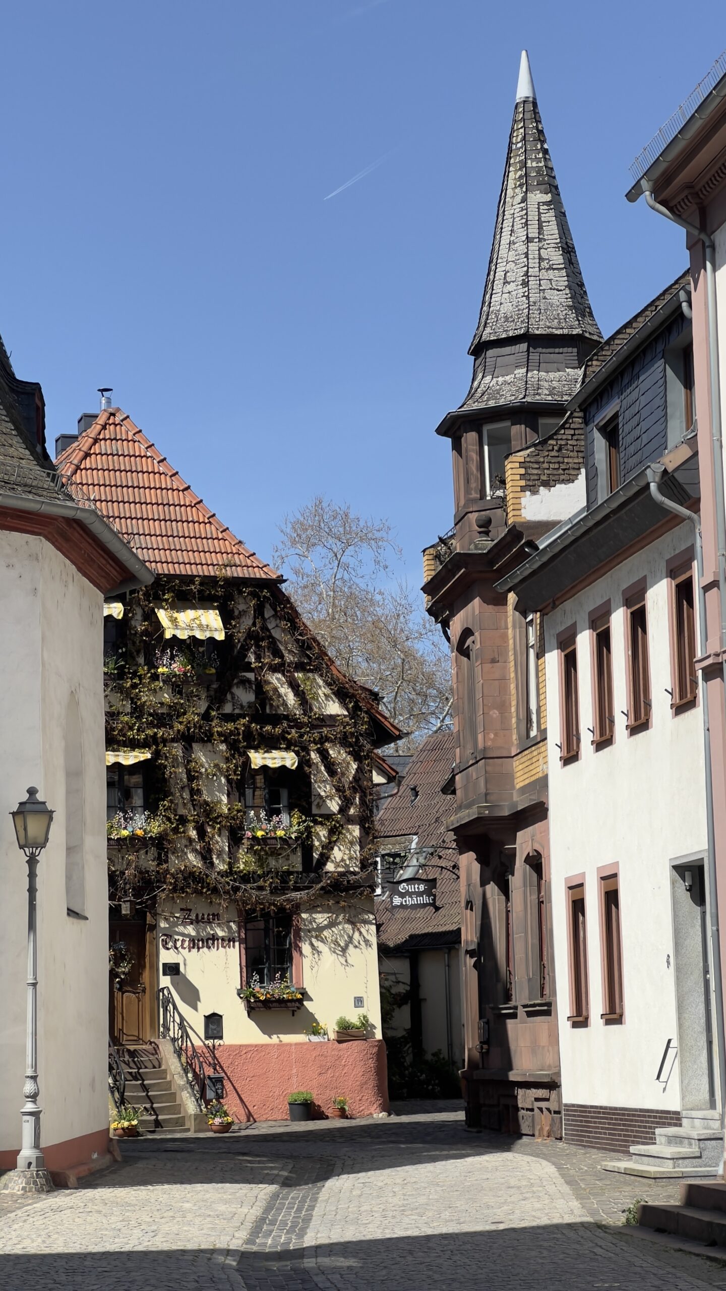 Umgebung Walluf im Ortskern - CUVÉE15