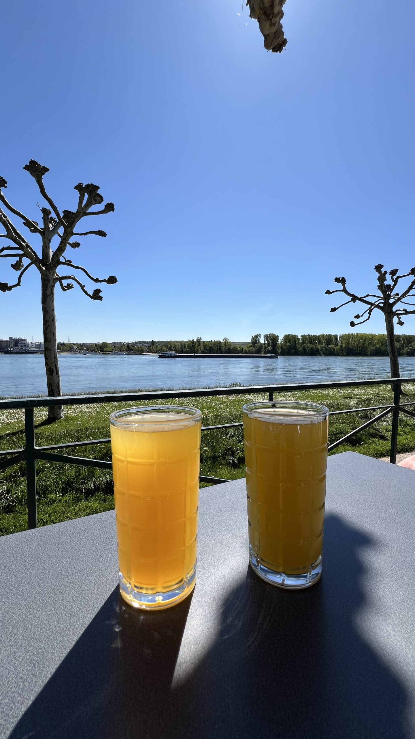 Umgebung Walluf - CUVÉE15