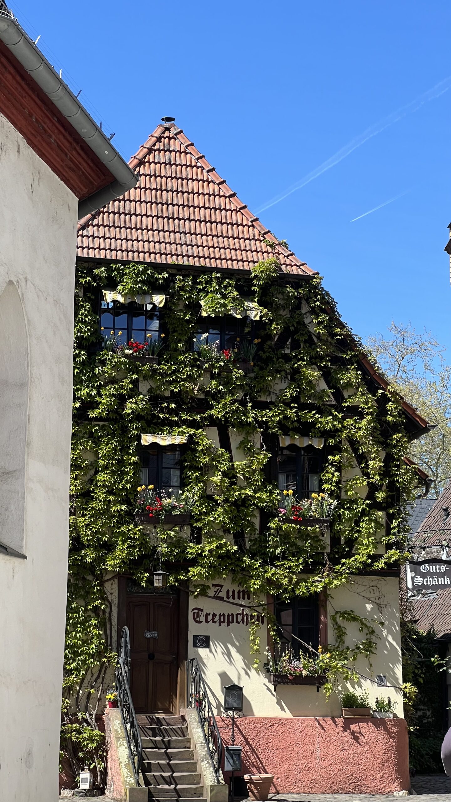 Umgebung Walluf - CUVÉE15